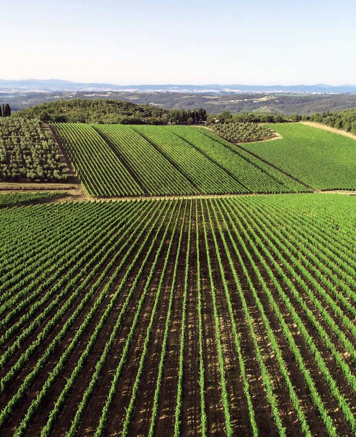 Castello di Ama Montebuoni - Chianti Classico Riserva