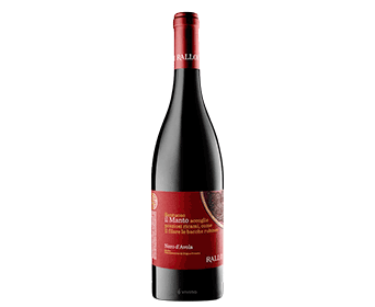 Red Malta Vigneti Poggio Wine | Nero d\'Avola d\'Avola Nero de il